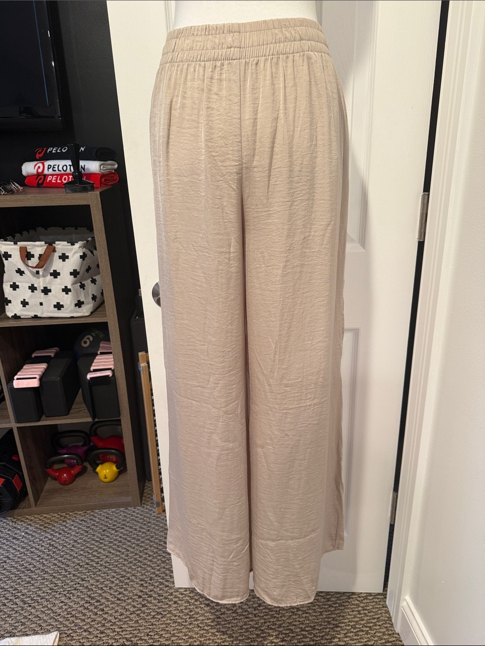Relaxed Wide-Leg Elastic Waist Pants in Light Taupe